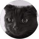 Free Soul profile picture